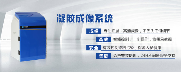 德州利元散熱器