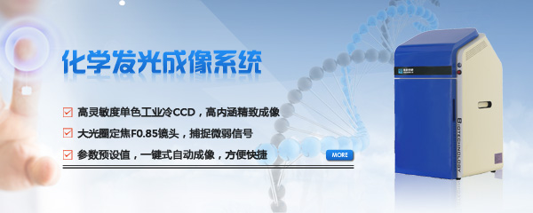 德州利元散熱器