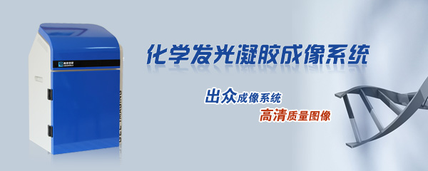 德州利元散熱器